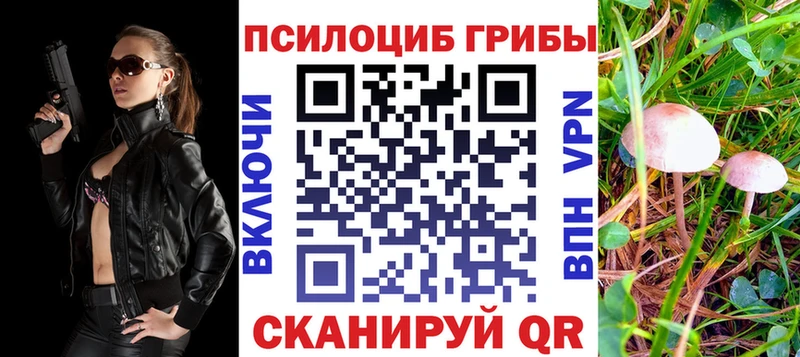 Псилоцибиновые грибы прущие грибы закладки Сертолово